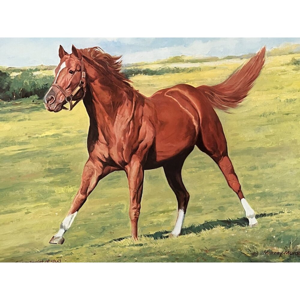 Secretariat Kentucky Derby Racehorse Lithograph Art Artist Signed Triple Crown - Picture 3 of 8